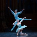 서초대로26길 19 이미지