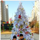 책노리 도서관 이미지