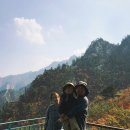 코스포덤 이미지