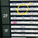 제제스튜디오 속눈썹&눈썹 청라점 | 인천 청라 속눈썹 펌 블랙틴팅 유지력 좋은 곳 세레니스튜디오 후기