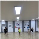 소나무향기태권도 이미지