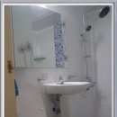 한라동백@ 이미지