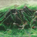 그린고속관광(주) 이미지