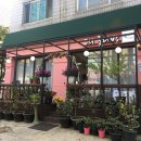 제이다방 이미지