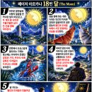 쉽게 배우는 만화 타로, 웨이트 타로 메이저 아르카나 18번 달(The Moon) 핵심 포인트 이미지
