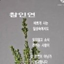 창곡천 Daum카페