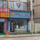 늘푸른동물병원 | 인천 삼산동 동물병원 늘푸른동물병원 위치 오는길 후기