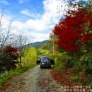 보성강3 이미지