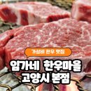 쌈채마을 | 고양 덕양구 한우 맛집 임가네 한우마을 리얼 후기