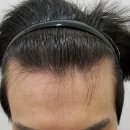 모든모의원 - 중구 약령길 8 | 모든모의원