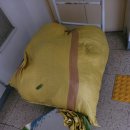 태봉신발