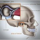 서울청담치과의원 이미지