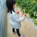 김동환농장 이미지