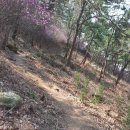 공지산 둘레길 이미지