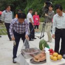 강촌출렁다리 이미지