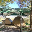 솔밭체육공원 오토캠핑장 | 가을캠핑지 추천! 솔향기와 단풍이 가득한 '솔밭체육공원오토캠핑장'