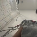 벨롱폴댄스 | ✨폴댄스 전문가 3급 기록✨