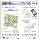 도레미마케팅