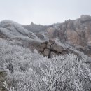 제715차 영암월출산 시산제 산행(2/13) 이미지