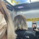 야밋헤어(Yammit)