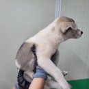 경기 공인계량소 이미지