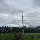 고성명태 한수위 이미지