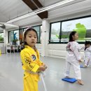 푸르른 태권도장 이미지