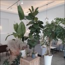 쉬즈베이글 용화점 이미지