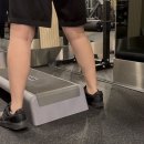 휴메이크 휘트니스 | [석촌동/삼전동/석촌고분역] 휴메이크 휘트니스 PT 후기