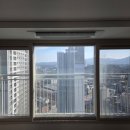 강릉 더퍼스트 이미지