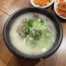 B27 | [세이지힐] 단체+아이가 함께 가기 좋은 캠핑장 / B26, B27, B47 후기