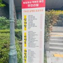닭발바닥앤떡볶이 | 서울 초복 삼계탕 맛집 기보감삼계탕앤호호미역 떡볶이 무한리필에 전복물회까지 든든한 후기