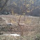 양평산수유펜션 이미지