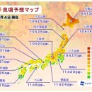 브이아이피여행사 이미지