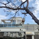 천안태양오토바이 | 천안아산 대형카페 추천 목천 까치카페