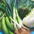 석수농장 이미지