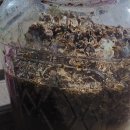 현동농장 이미지