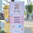 딸기네샵 이미지