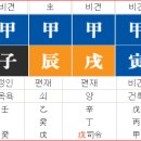 진술충(辰戌沖)으로 피부질환 발생한다 이미지