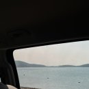 덕수네 | 서산 가리비찜 해물칼국수 맛집 덕수네가리비 일번지가리비 후기