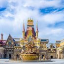 메디코퍼 이미지