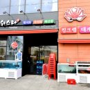 피쉬스타 - 강남구 언주로81길 6 | 피쉬스타