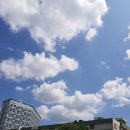 주식회사 데일리메디 | 뼈 영양제 30, 40 여성 반드시 챙겨야 된다는데 왜일까요?