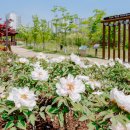 오산 경기일보