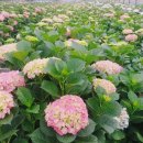 성리농장 이미지