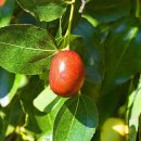 자드락산촌생태마을 이미지