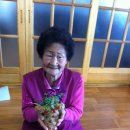 오룡 경로당 이미지