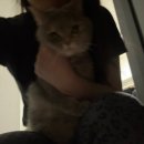 나미케이크 | 260105-11 CU 카다이프 미니 수건케이크 내돈내산 후기 I 페펭 두쫀쿠 I 거짓말 조금 보태서 고양이...