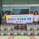 (유)세솔건설 새전북신문
