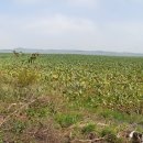 농원마을경로당 이미지